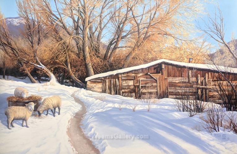 Ewes of New Mexico by Pat Rose
